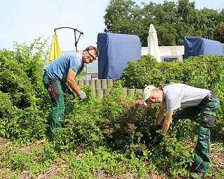 Garten und Landschaftspflege